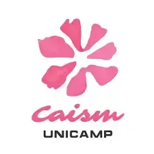 Logo CAISM UNICAMP — cliente da THE Montagens Industriais (hospitais, manutenção elétrica e infraestrutura predial hospitalar)