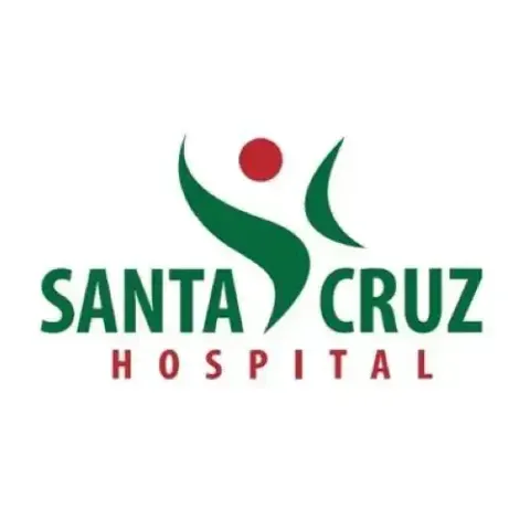 Logo Hospital Santa Cruz — cliente da THE Montagens Industriais (hospitais, instalações elétricas e manutenção predial)